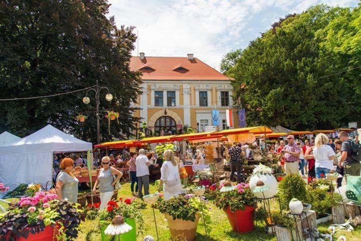 Lubiatow Der Kleine Bauernhof Keine Arbeiter Zadnych Pracownikow公寓 外观 照片